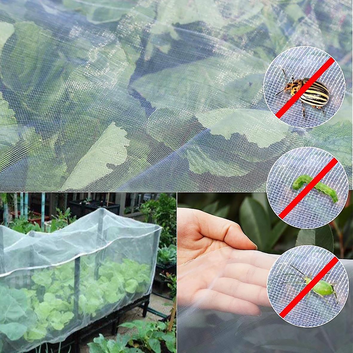 Anti-Insect Net (2)