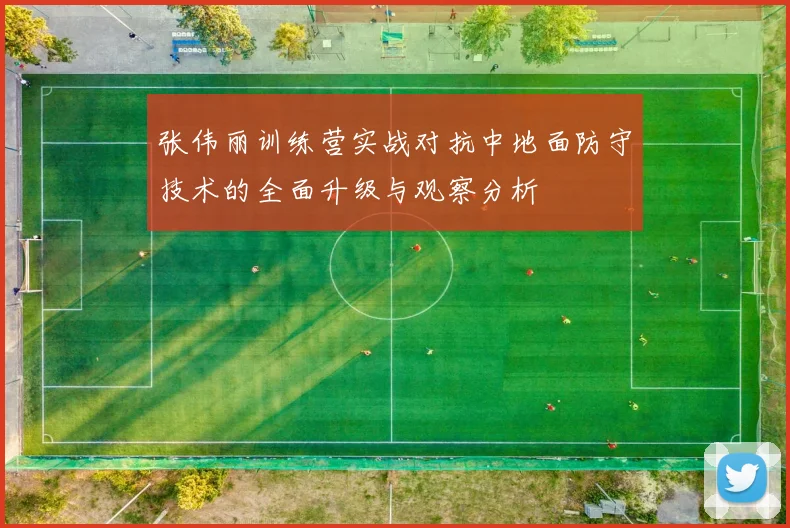 张伟丽训练营实战对抗中地面防守技术的全面升级与观察分析