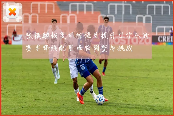 张镇麟恢复训练强度提升辽宁队新赛季锋线配置面临调整与挑战