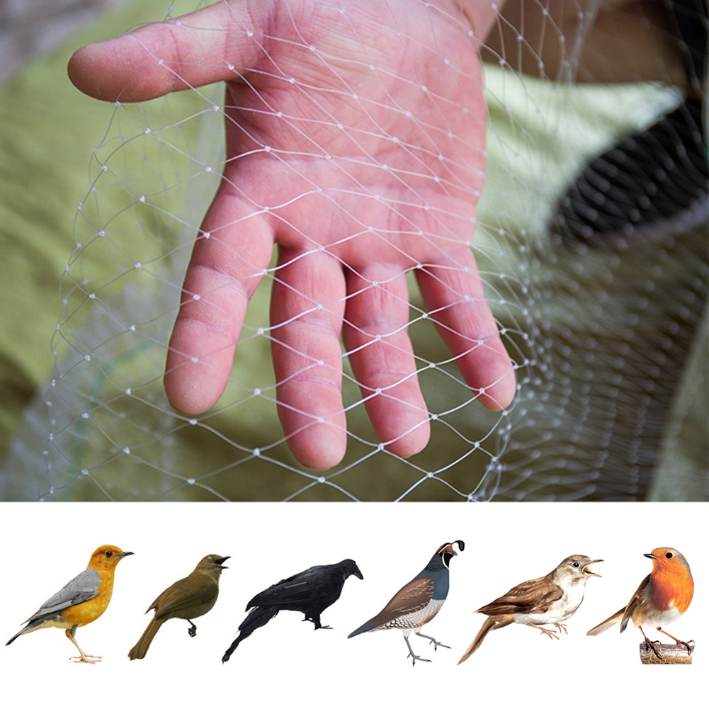 Anti-bird Net  (5)